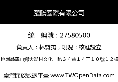 躍騰國際有限公司