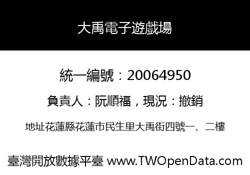 大禹電子遊戲場