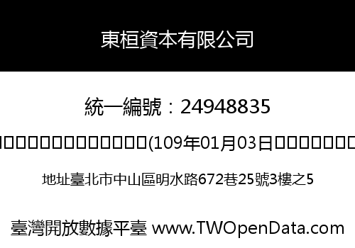 東桓資本有限公司