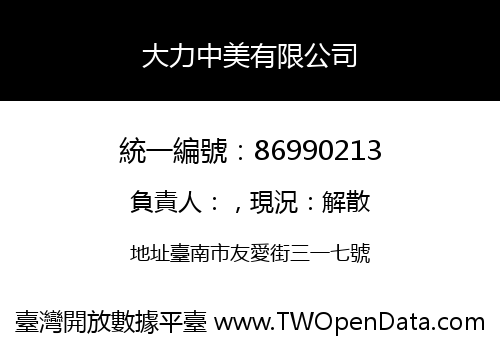 大力中美有限公司