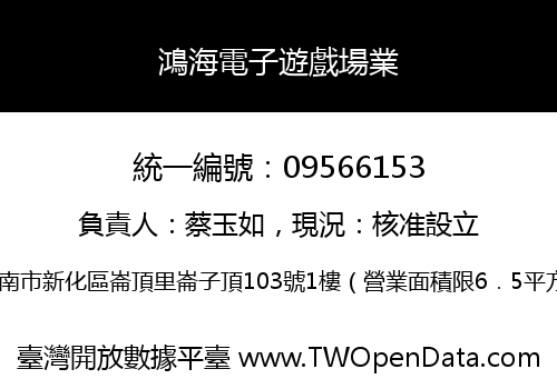 鴻海電子遊戲場業