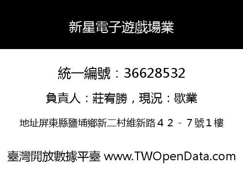 新星電子遊戲場業