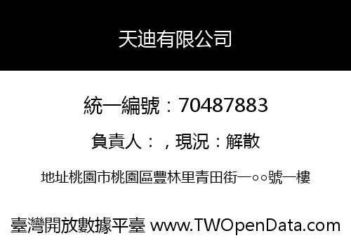 天迪有限公司