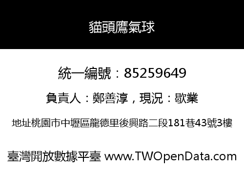 貓頭鷹氣球
