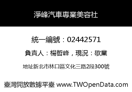 淨峰汽車專業美容社