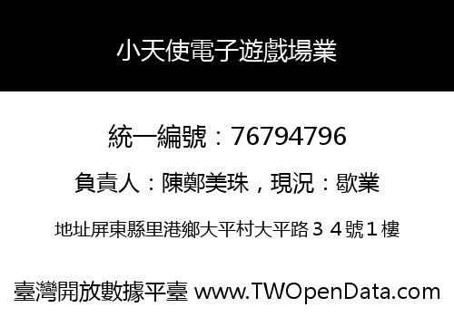 小天使電子遊戲場業