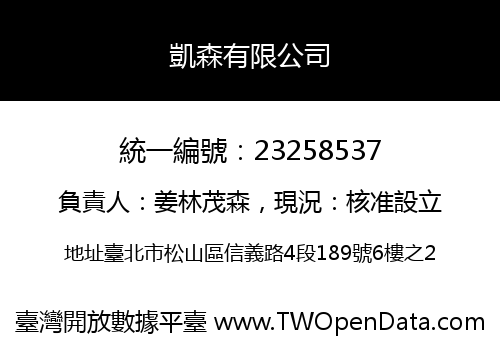 凱森有限公司