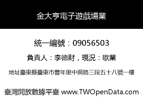 金大亨電子遊戲場業