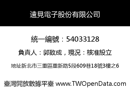 遠見電子股份有限公司