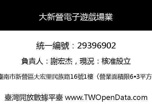 大新營電子遊戲場業