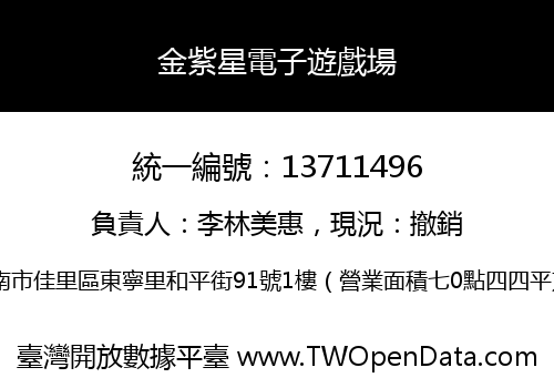 金紫星電子遊戲場