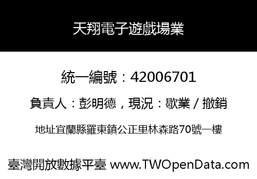 天翔電子遊戲場業