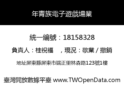 年青族電子遊戲場業