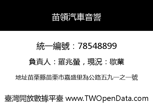 苗領汽車音響