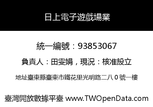 日上電子遊戲場業