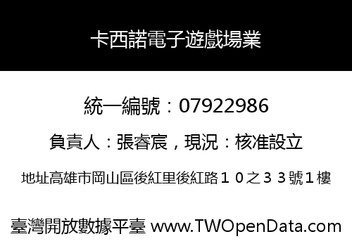 卡西諾電子遊戲場業