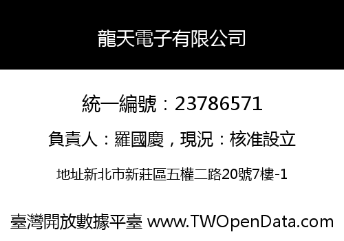 龍天電子有限公司
