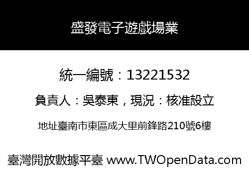 盛發電子遊戲場業