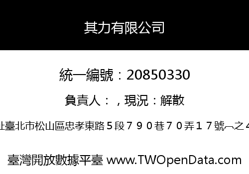 其力有限公司
