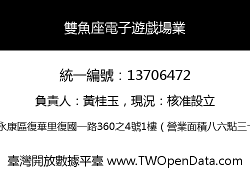 雙魚座電子遊戲場業