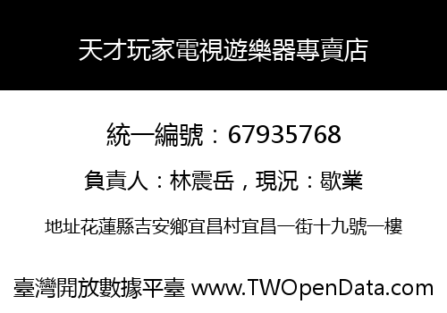 天才玩家電視遊樂器專賣店