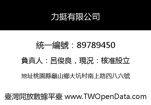 力挺有限公司