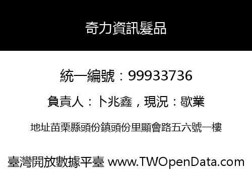 奇力資訊髮品