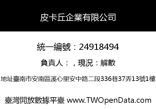皮卡丘企業有限公司