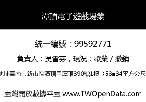 潭頂電子遊戲場業
