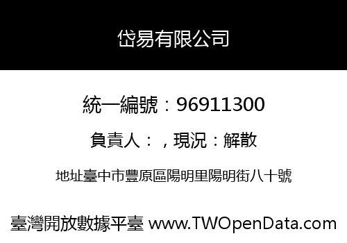 岱易有限公司