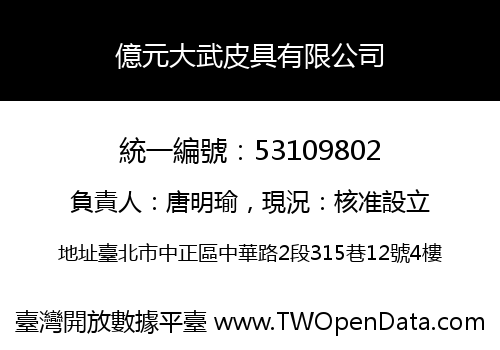 億元大武皮具有限公司