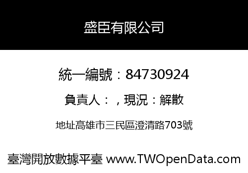 盛臣有限公司