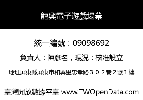 龍興電子遊戲場業