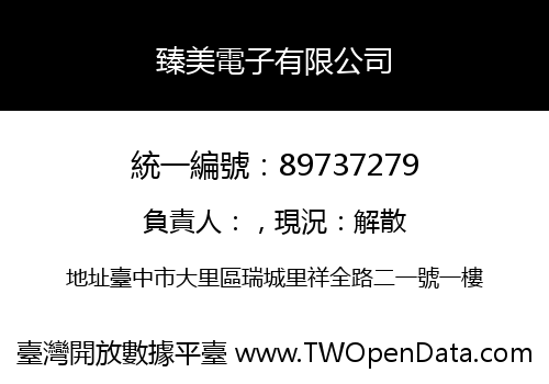 臻美電子有限公司