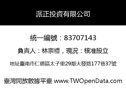 派正投資有限公司