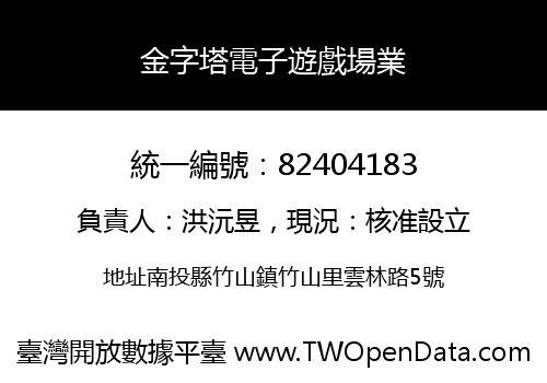 金字塔電子遊戲場業