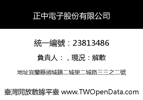 正中電子股份有限公司