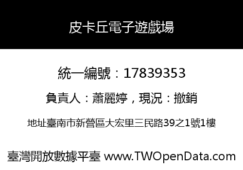 皮卡丘電子遊戲場