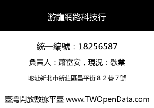 游龍網路科技行