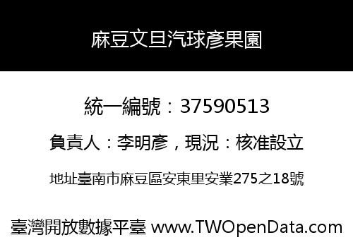 麻豆文旦汽球彥果園