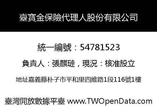 臺寶金保險代理人股份有限公司