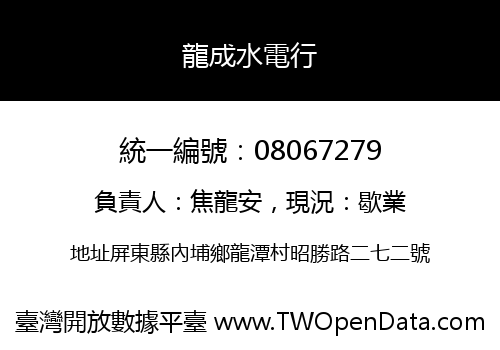 龍成水電行