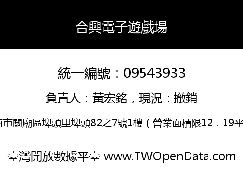 合興電子遊戲場