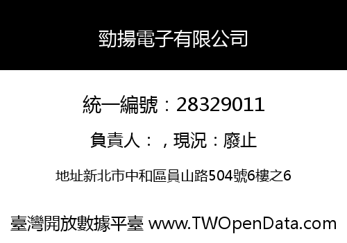 勁揚電子有限公司