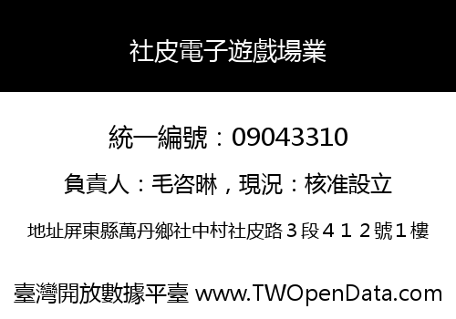 社皮電子遊戲場業