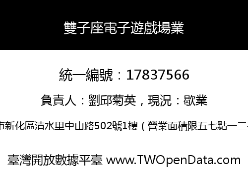 雙子座電子遊戲場業
