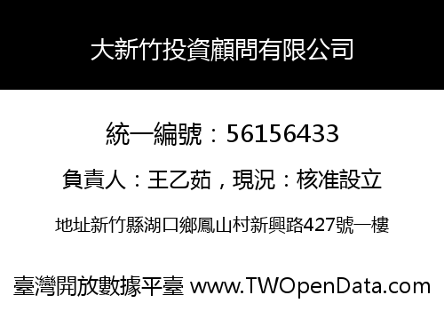 大新竹投資顧問有限公司