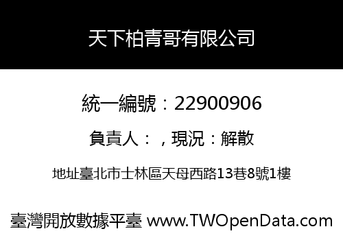 天下柏青哥有限公司
