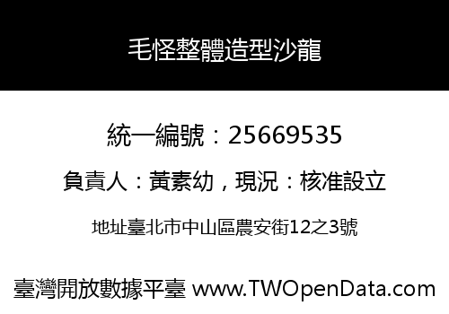 毛怪整體造型沙龍