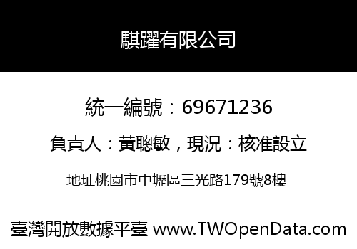 騏躍有限公司